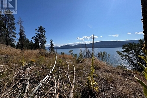 9304 Hodges Road - Photo 19