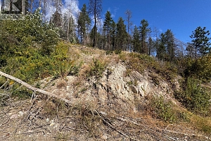 9304 Hodges Road - Photo 23