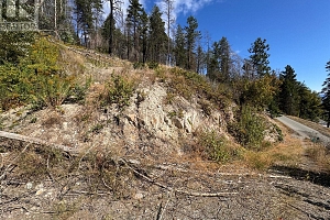 9304 Hodges Road - Photo 24