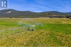 585 Beaver Creek Road - Photo 47