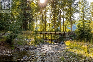 585 Beaver Creek Road - Photo 49