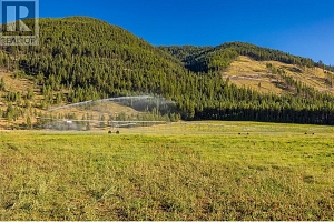 585 Beaver Creek Road - Photo 50