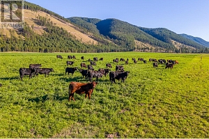 585 Beaver Creek Road - Photo 57