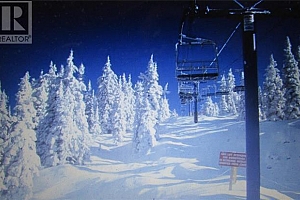 5375 Big White Road Unit# 229 - Photo 21