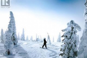 5375 Big White Road Unit# 110 - Photo 22