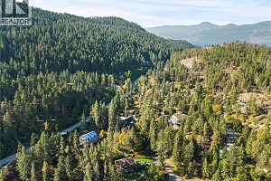 9292 Kokanee Road - Photo 47