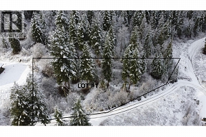 2680 CEDAR RIDGE Street Unit# Proposed Phase 2 Lot# 1 & 2 - Photo 3