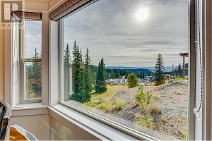 130 Arnica Lane - Photo 20