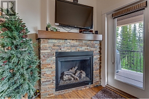 130 Arnica Lane - Photo 23