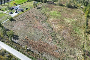 3850 Swamp Road - Photo 19