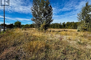 3850 Swamp Road - Photo 21