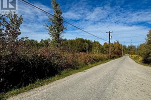 3850 Swamp Road - Photo 22