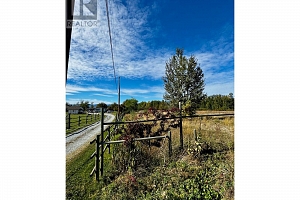 3850 Swamp Road - Photo 23