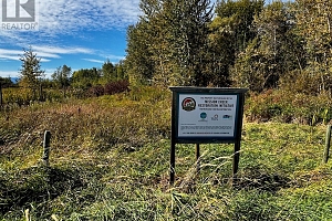 3850 Swamp Road - Photo 25