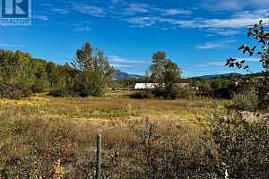 3850 Swamp Road - Photo 26