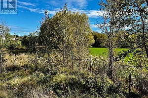 3850 Swamp Road - Photo 27