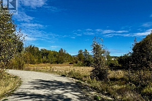 3850 Swamp Road - Photo 28