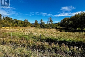 3850 Swamp Road - Photo 29