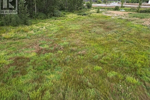 3850 Swamp Road - Photo 31