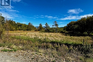 3850 Swamp Road - Photo 33