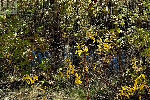 3850 Swamp Road - Photo 35