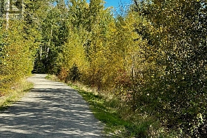 3850 Swamp Road - Photo 36