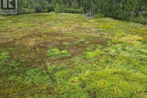 3850 Swamp Road - Photo 42