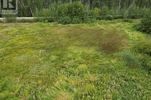 3850 Swamp Road - Photo 43