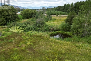 3850 Swamp Road - Photo 7