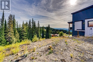 140 Arnica Lane - Photo 17