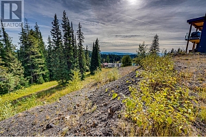 140 Arnica Lane - Photo 19