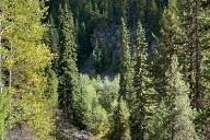 8930 33 Highway E Unit# Lot 10 - Photo 4
