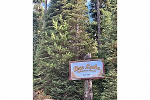 10250 Dee Lake Road Lot# 38 - Photo 10