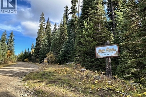 10250 Dee Lake Road Lot# 38 - Photo 11