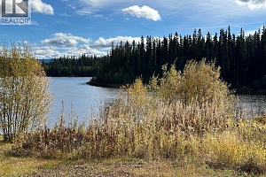 10250 Dee Lake Road Lot# 38 - Photo 2