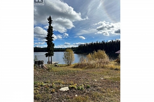 10250 Dee Lake Road Lot# 38 - Photo 2