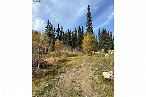 10250 Dee Lake Road Lot# 38 - Photo 8