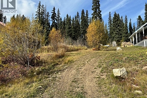 10250 Dee Lake Road Lot# 38 - Photo 9