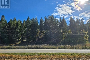 5145 Salmon River Road - Photo 2