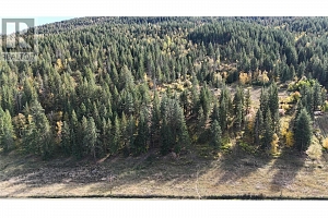 5145 Salmon River Road - Photo 4