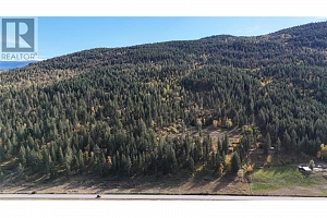 5145 Salmon River Road - Photo 5