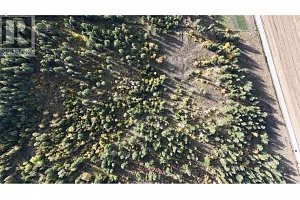 5145 Salmon River Road - Photo 6