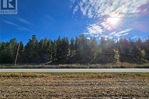 5145 Salmon River Road - Photo 7