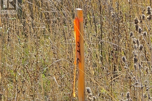 5145 Salmon River Road - Photo 8