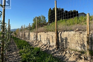 424 Gibson Road - Photo 20