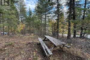 910 Firwood Road - Photo 17