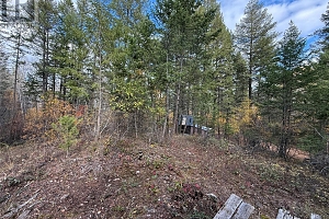 910 Firwood Road - Photo 18