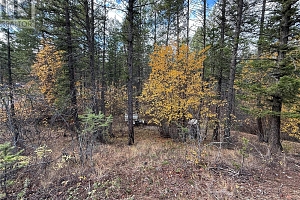 910 Firwood Road - Photo 19