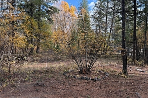 910 Firwood Road - Photo 23