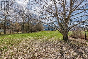 2900 Wood Avenue - Photo 8